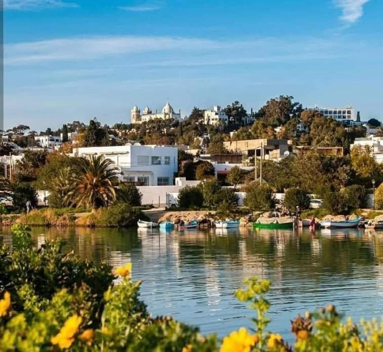 Appartement Num3 Carthage Byrsa Douar ech Chott Εξωτερικό φωτογραφία